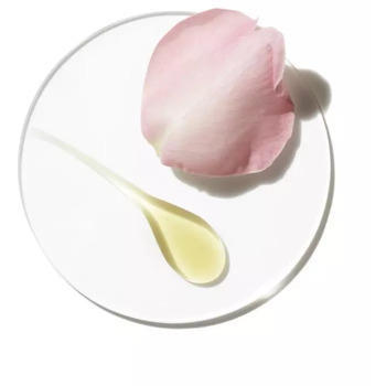 Aromatics Elixir Deodorant roll-on